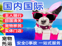 成都航空空运国际宠物托运 【国